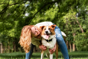 Seguros Pet
